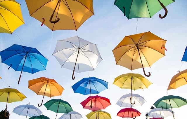 How to Create a Comprehensive Art Portfolio That Stands Out